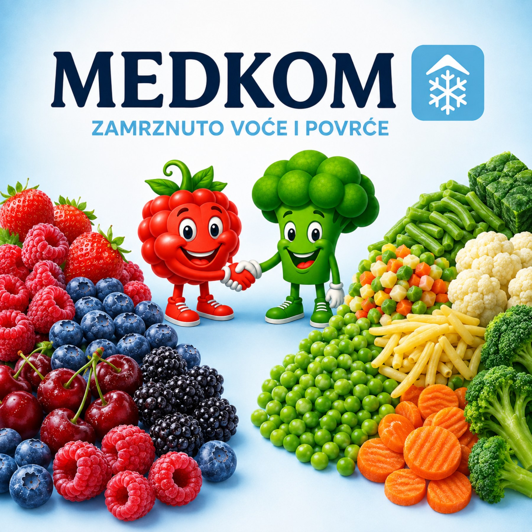 MEDKOM Zamrznuti program